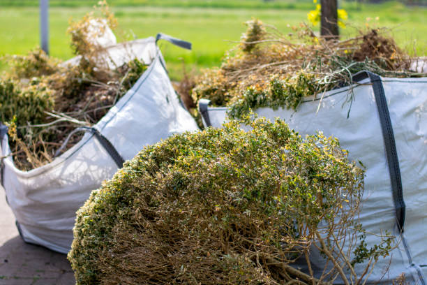 Yard Cleanup Services in Moody, TX